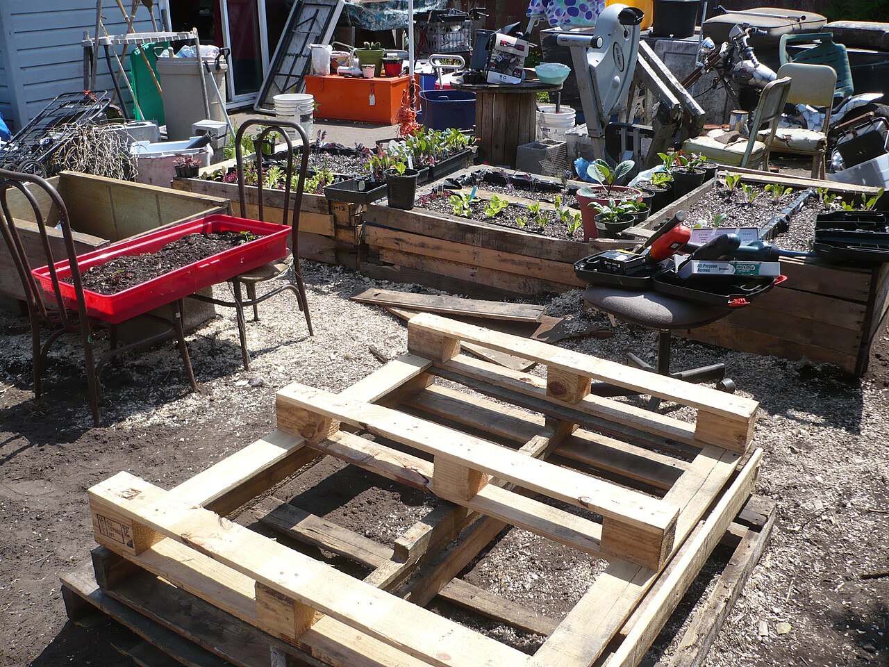 Pallet-framed raised bed using a mixed cover crops for raised beds strategy