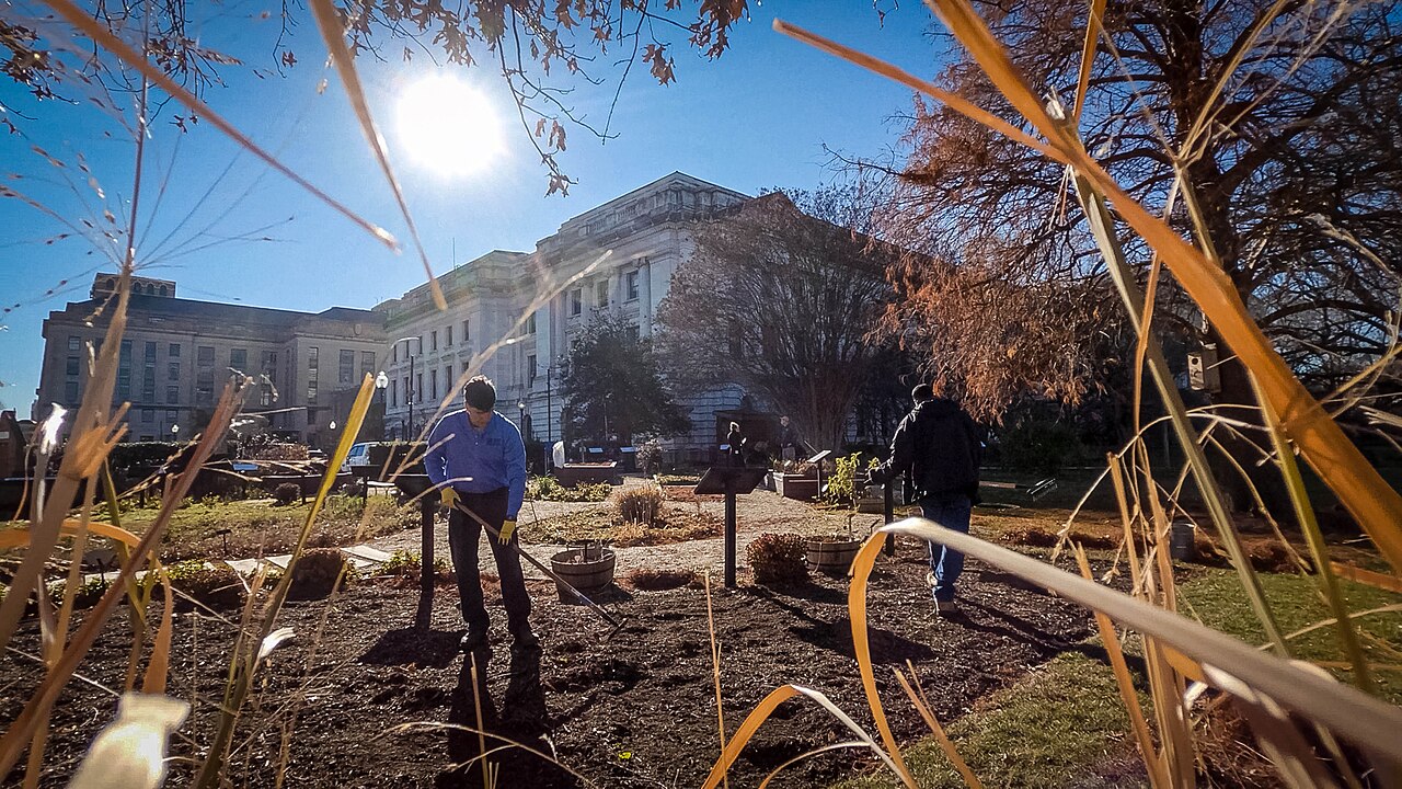 Urban demonstration bed showing cover crops for raised beds during cool season