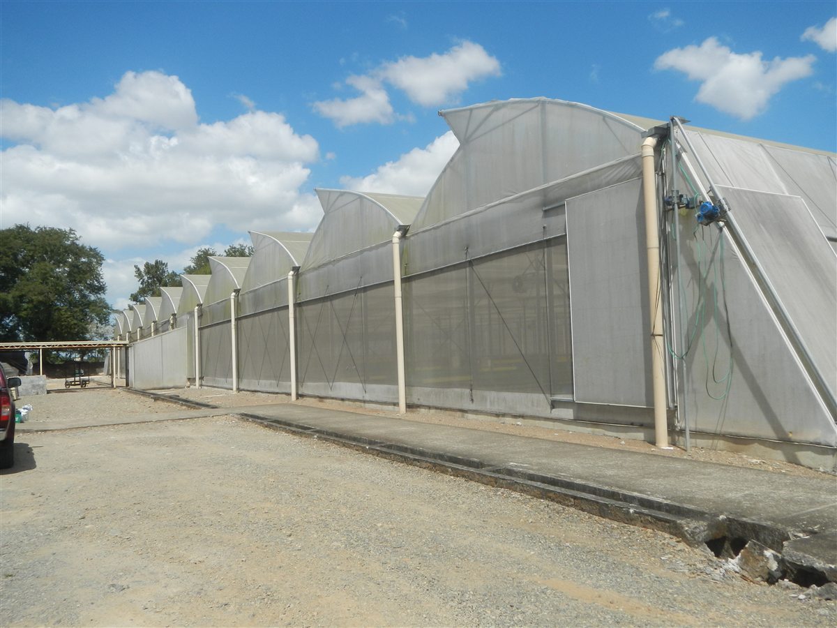 Shade transition area used to harden off seedlings before full sun exposure