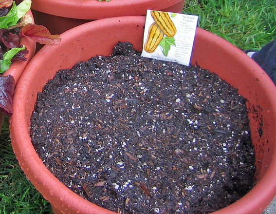 Moist soil block recipe materials ready for seed starting