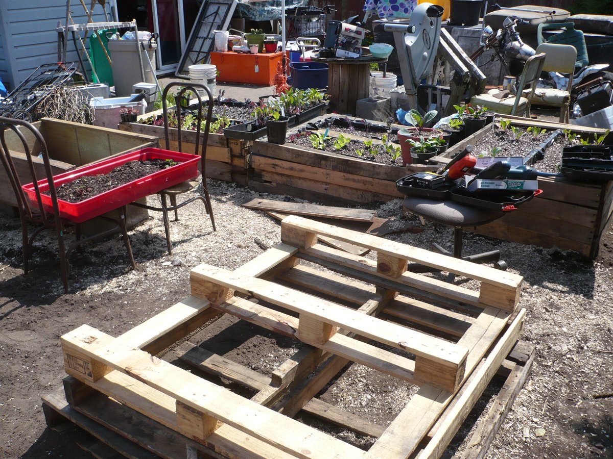 Pallet-framed square foot gardening spacing chart bed marked into equal planting squares