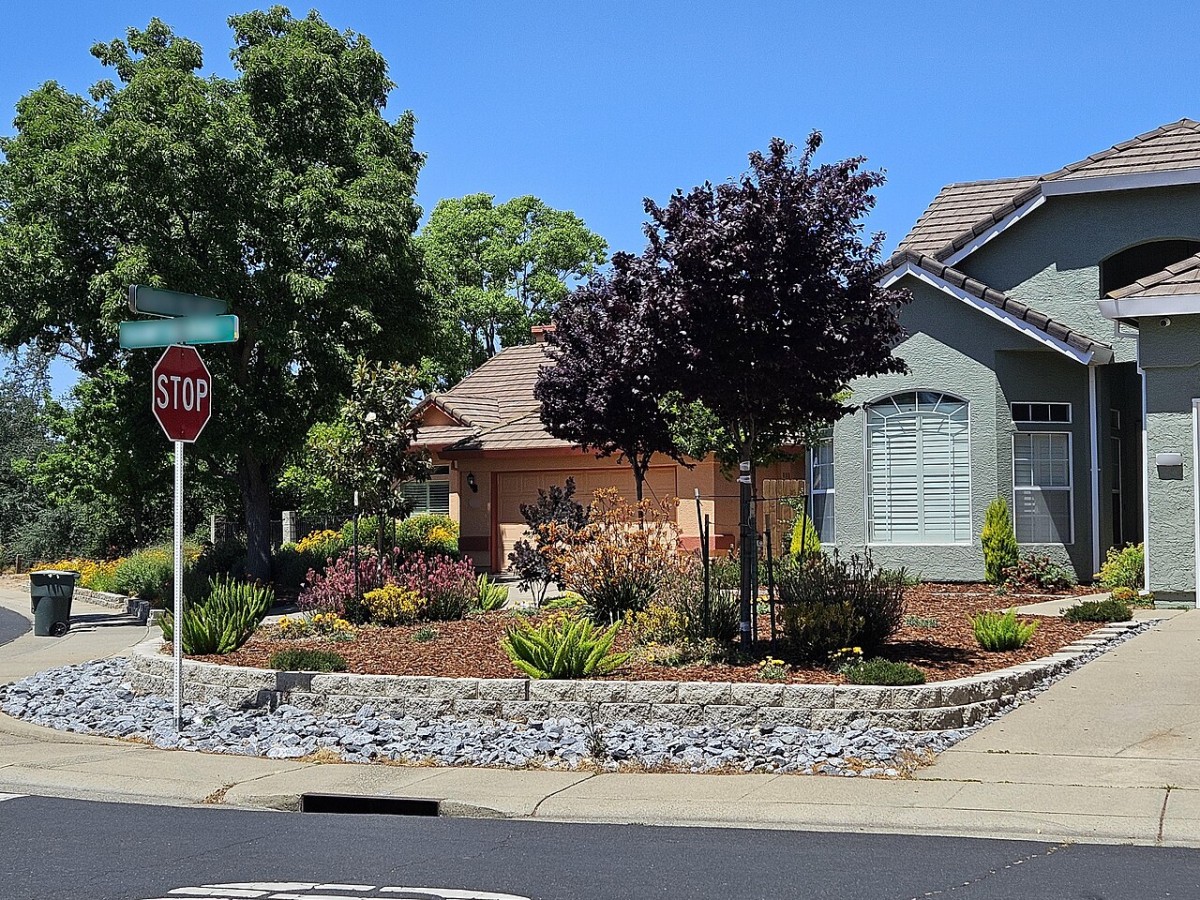 Neighborhood xeriscape front yard with drought tolerant shrubs and gravel mulch