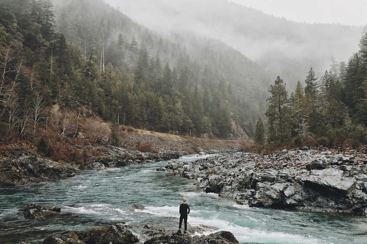 best fertilizer for st augustine grass summer lawn density results