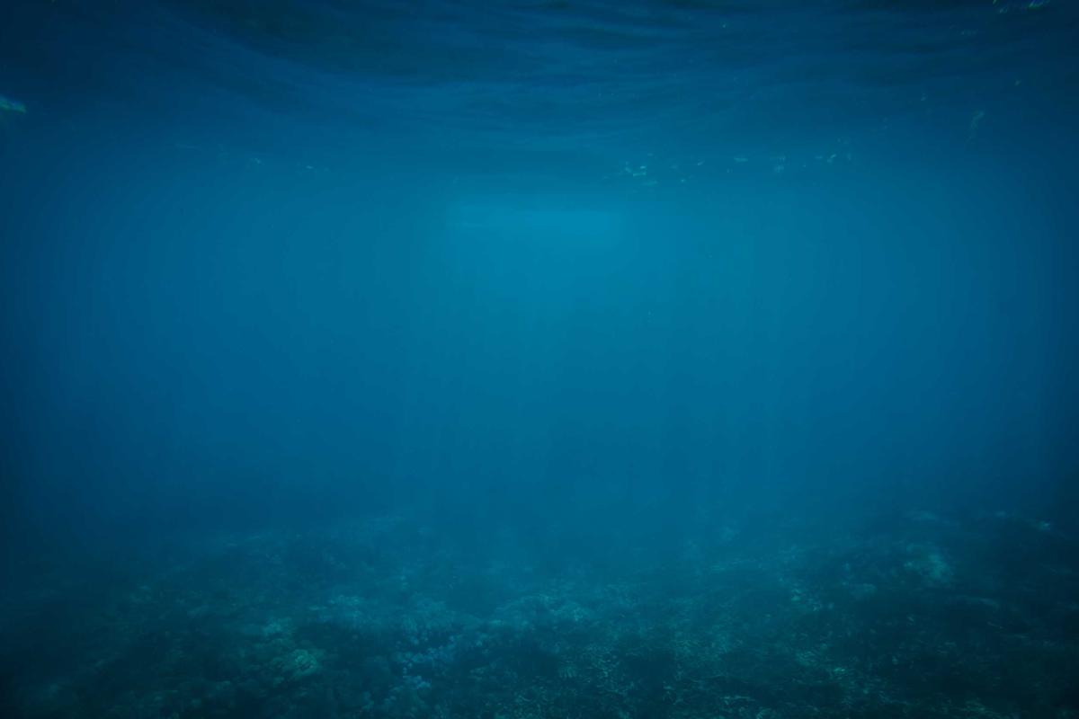 best fertilizer for st augustine grass spreader calibration before treatment