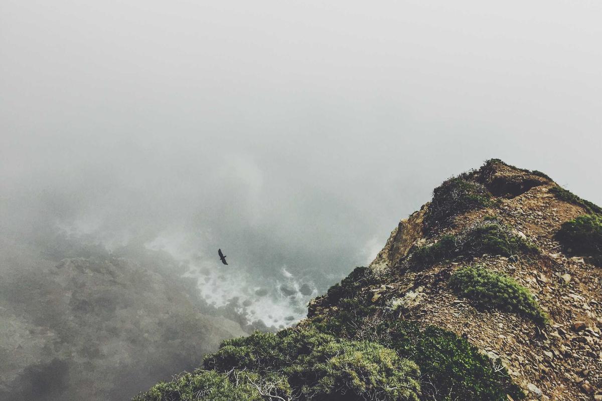 best wood for outdoor furniture maintenance with cleaning and sealing