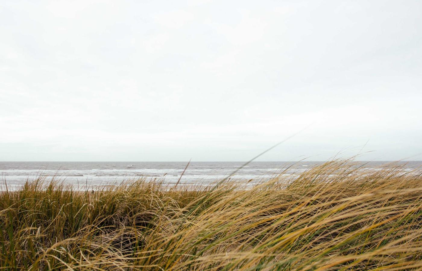 compost for raised bed garden soil blend in a wooden raised bed
