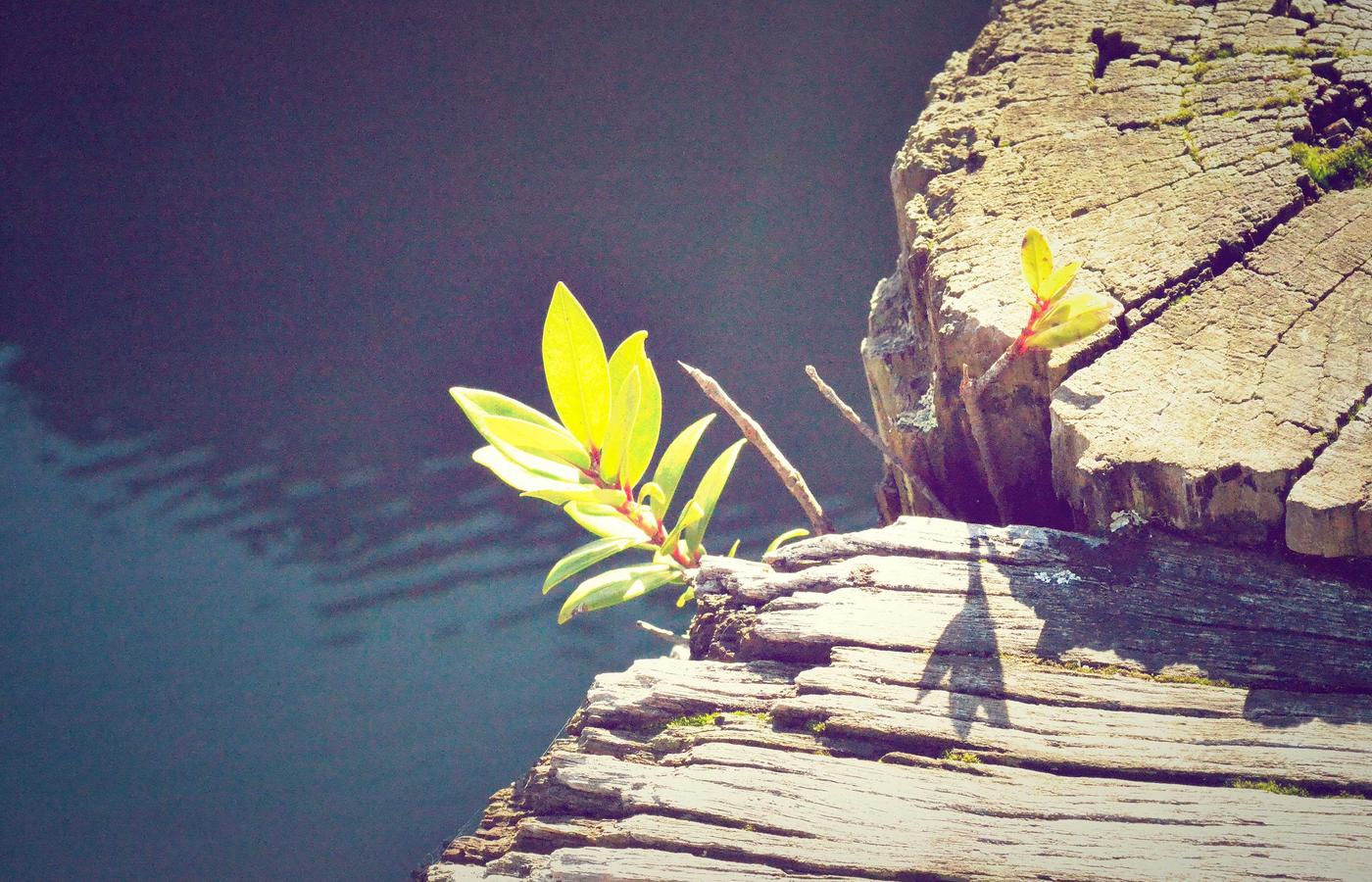 pallet raised garden bed frame ready for soil fill